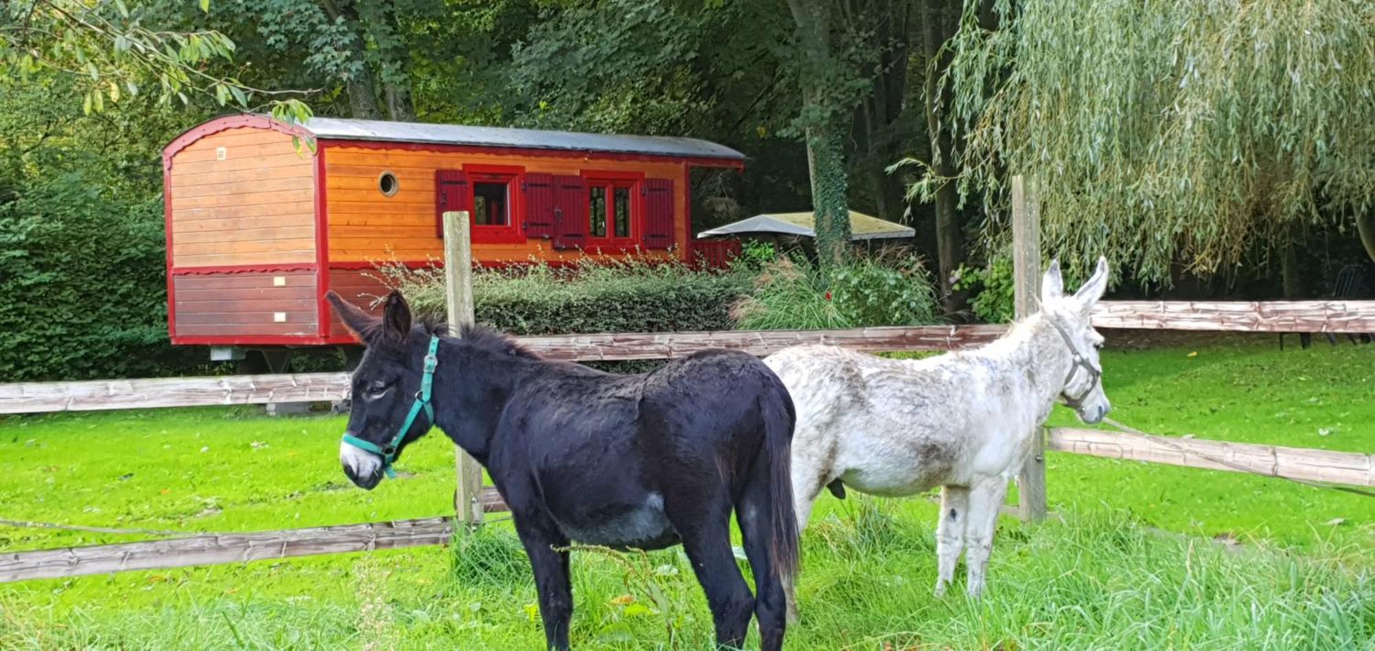 Villa La Fermette Des Ramolleux Crécy-en-Ponthieu Zimmer foto